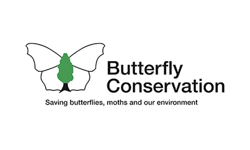 Visit the Butterfly Conservation website Butterfly Conservation logo