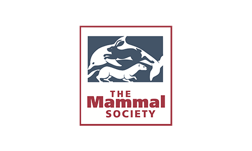 Visit the Mammal Society website Mammal Society logo