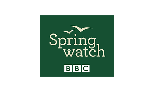 Visit the Springwatch website Springwatch logo