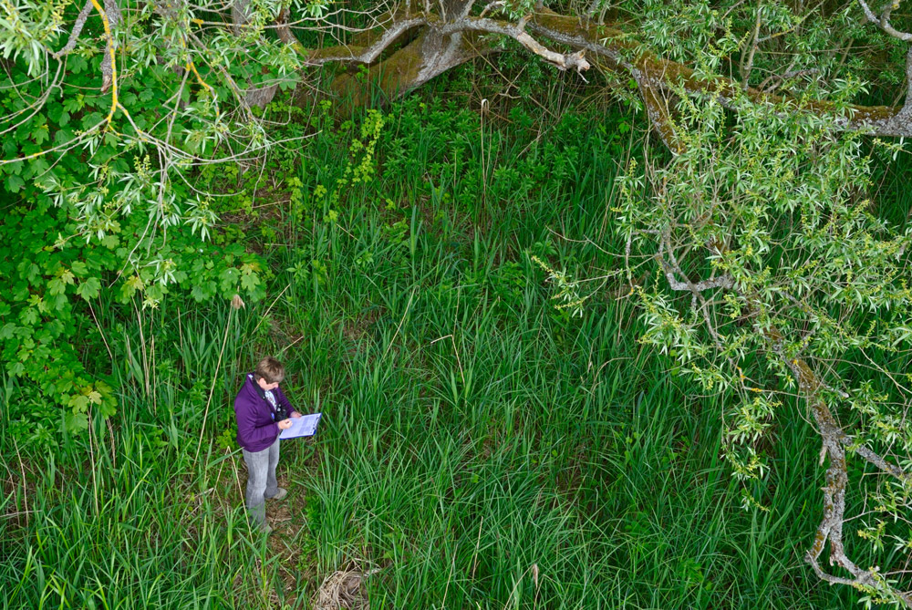 BBS Volunteer. David Tipling / BTO BBS Volunteer. David Tipling / BTO