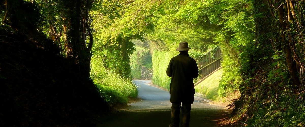 BTO Surveyor. Jill Tardivel BTO Surveyor. Jill Tardivel