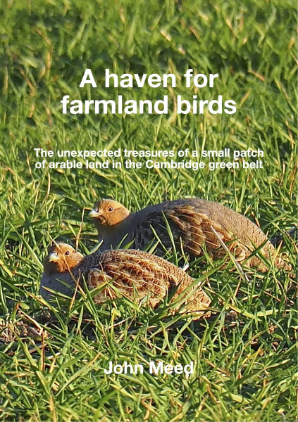 A haven for farmland birds (cover) A haven for farmland birds (cover)
