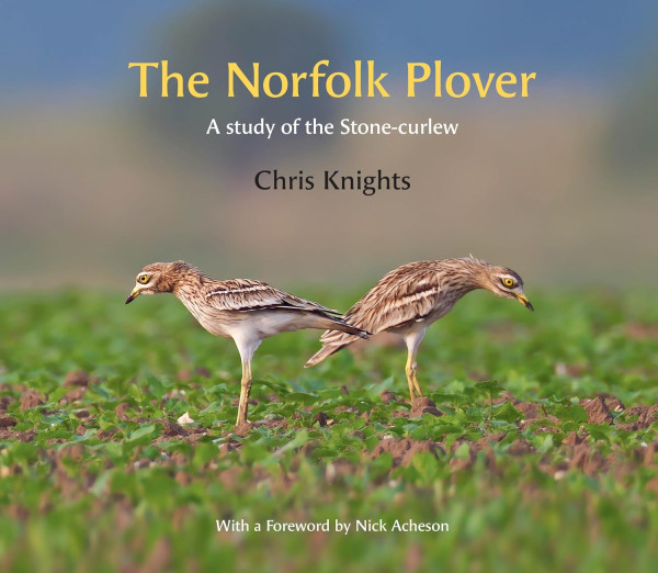 The Norfolk Plover (cover) The Norfolk Plover (cover)
