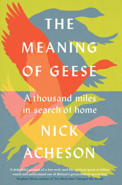 The Meaning of Geese (cover) The Meaning of Geese (cover)