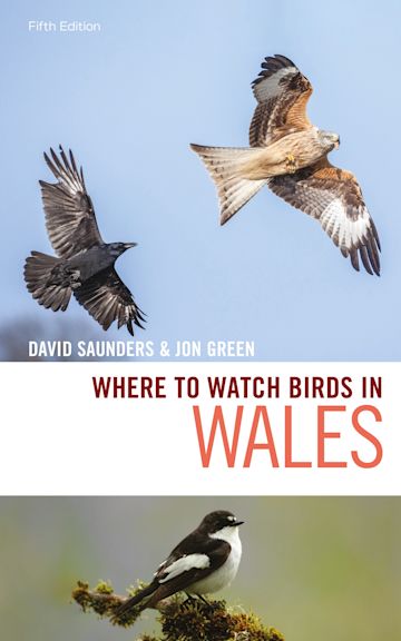 Where to Watch Birds in Wales Where to Watch Birds in Wales