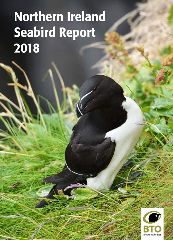 BTO Northern Ireland Seabird Report 2018 cover BTO Northern Ireland Seabird Report 2018 cover
