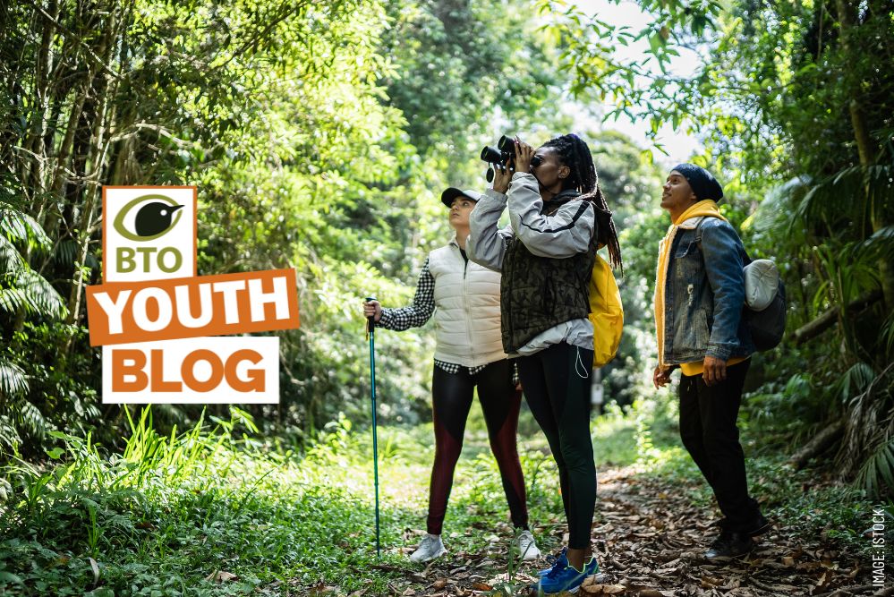 BTO Youth Engagement Strategy BTO Youth Engagement Strategy