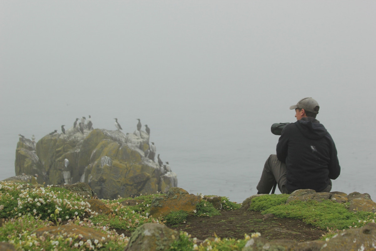 Seawatching on the Isle of May. Steve Willis Seawatching on the Isle of May. Steve Willis