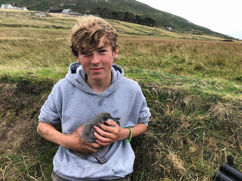 Louis Driver Louis Driver