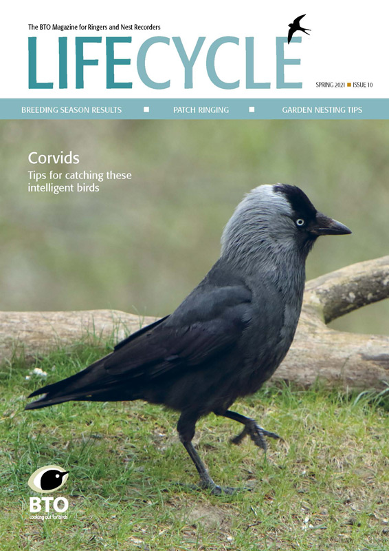 LifeCycle 10 Spring 2021 cover LifeCycle 10 Spring 2021 cover