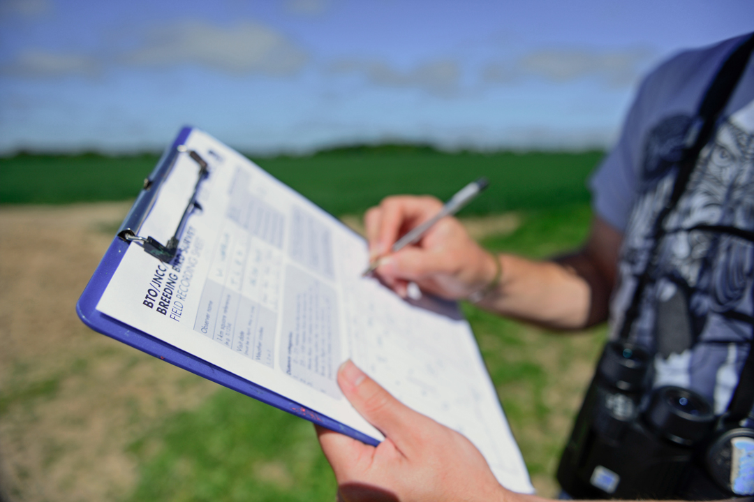 BBS volunteer, by David Tipling / BTO BBS volunteer, by David Tipling / BTO