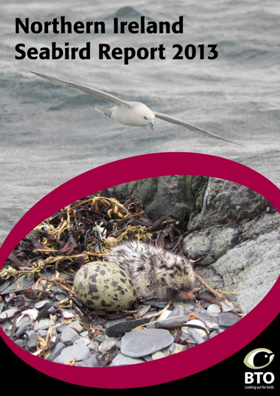 Northern Ireland Seabird Report 2013 cover Northern Ireland Seabird Report 2013 cover