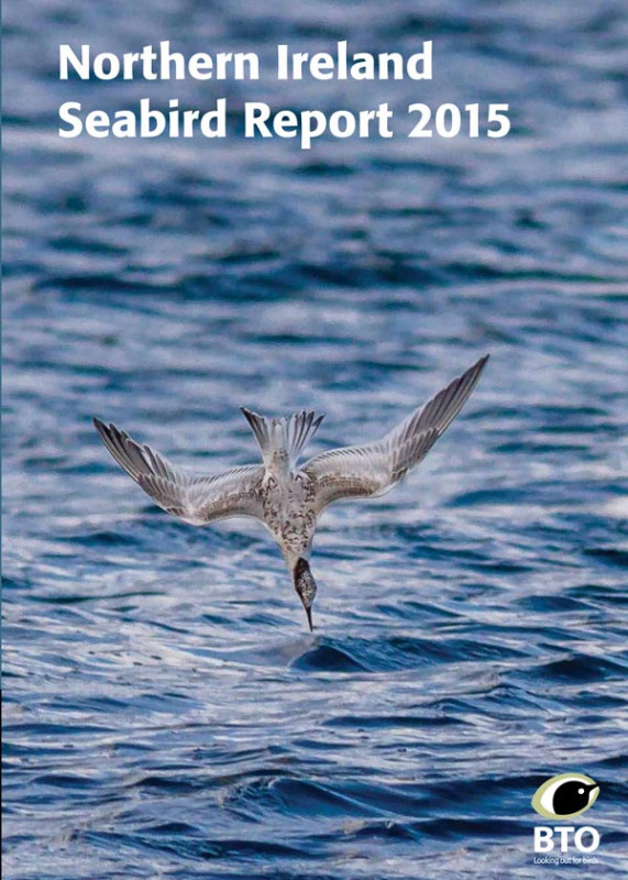 Northern Ireland Seabird Report 2018 cover Northern Ireland Seabird Report 2018 cover