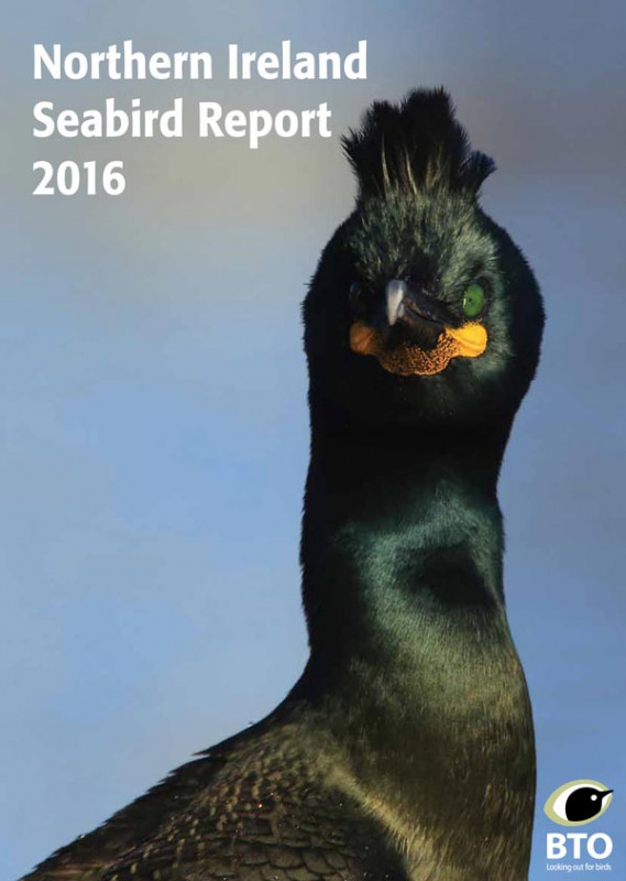 Northern Ireland Seabird Report 2016 cover Northern Ireland Seabird Report 2016 cover