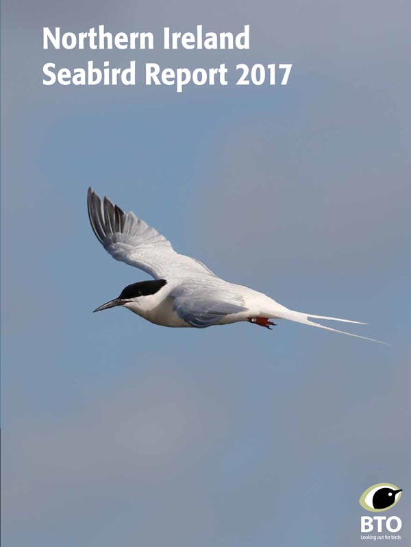 Northern Ireland Seabird Report 2017 cover Northern Ireland Seabird Report 2017 cover