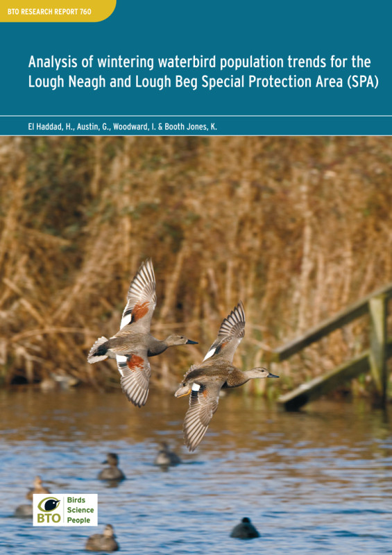 BTO Research Report 760 cover