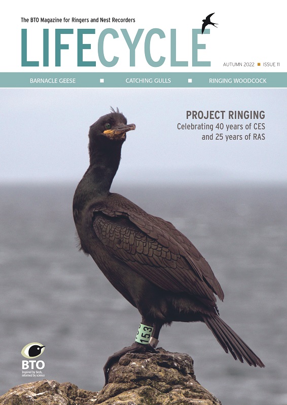 Cover of Issue 11 of BTO Life Cycle magazine showing a shag Shag