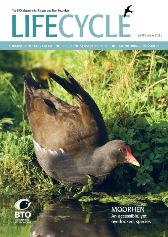 Cover of LifeCycle Issue 9 Cover of LifeCycle Issue 9