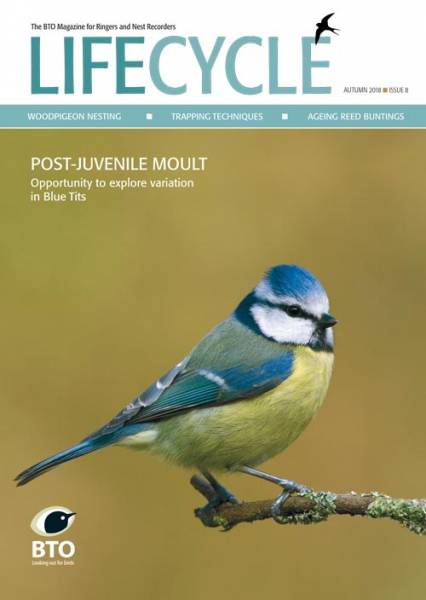 LifeCycle autumn 2018 cover LifeCycle autumn 2018 cover