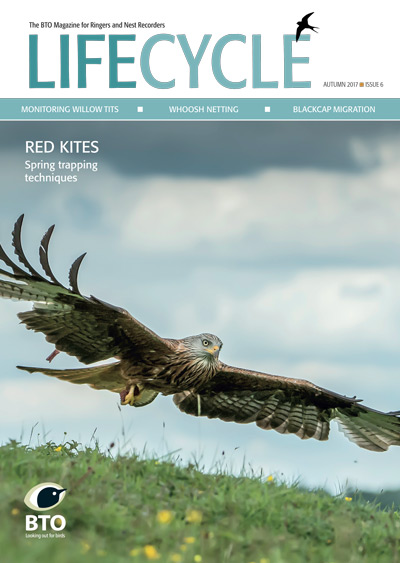 Life Cycle issue 6 Autumn 2017 cover Life Cycle issue 6 Autumn 2017 cover