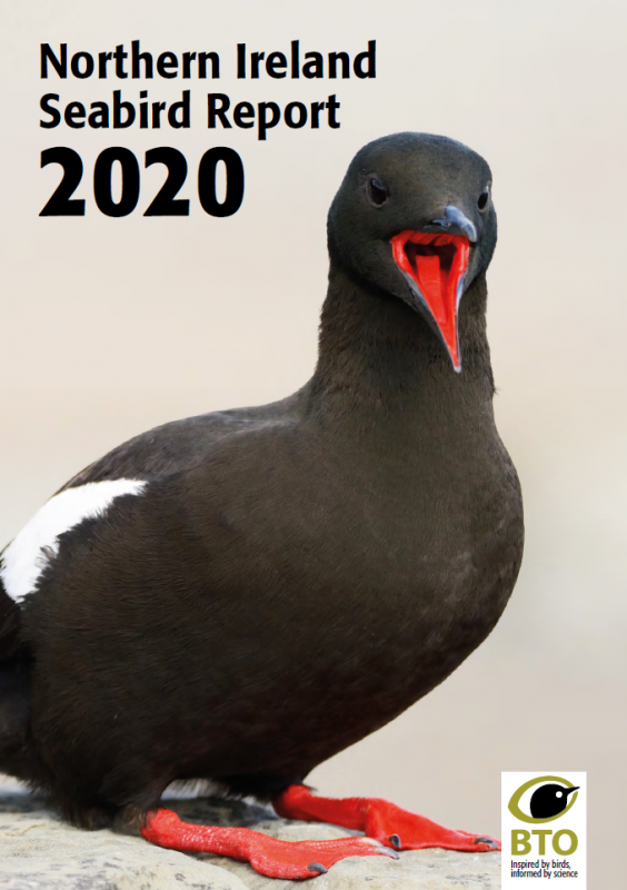 Northern Ireland Seabird Report 2020 cover Northern Ireland Seabird Report 2020 cover
