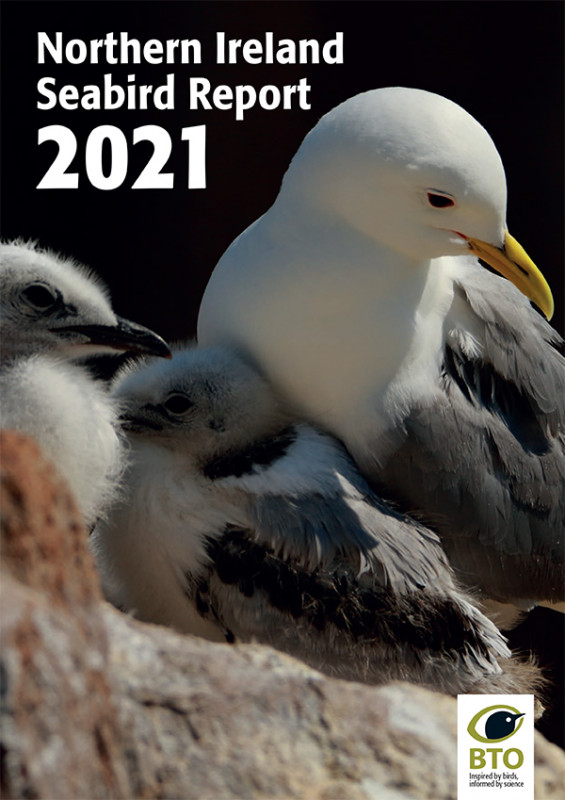 Northern Ireland Seabird Report 2021. Northern Ireland Seabird Report 2021.