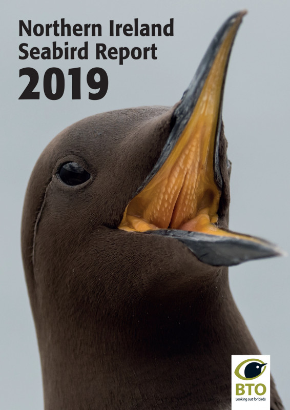Northern Ireland Seabird Report 2019 cover Northern Ireland Seabird Report 2019 cover