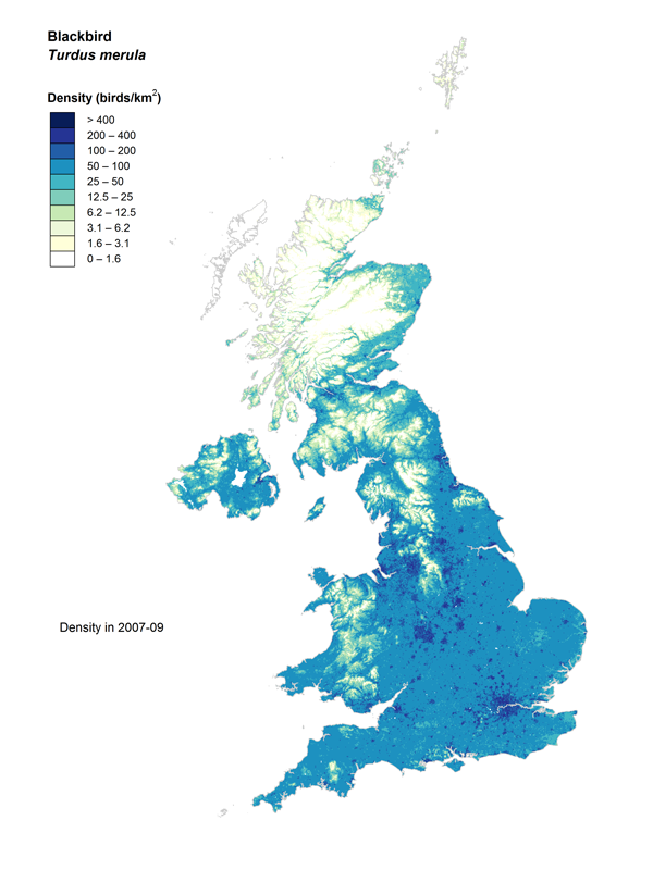 Blackbird population density map Blackbird population density map