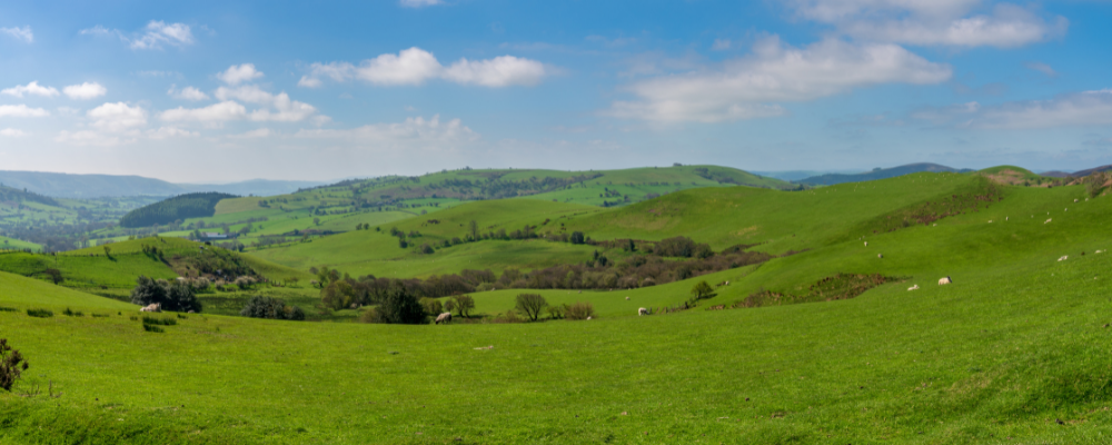 Stiperstones National Nature Reserve Stiperstones National Nature Reserve
