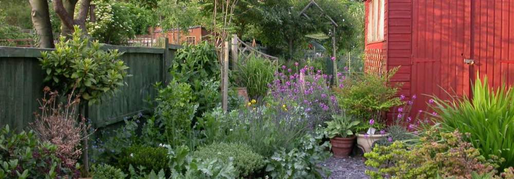 Providing for wildlife in your garden. Mike Toms Providing for wildlife in your garden. Mike Toms