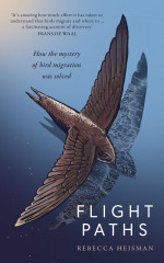 Flight Paths by Rebecca Heisman Flight Paths by Rebecca Heisman
