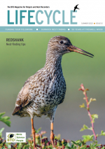 Front cover of Lifecycle magazine