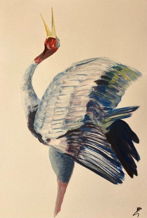 Sarus Crane. Alicia Hayden