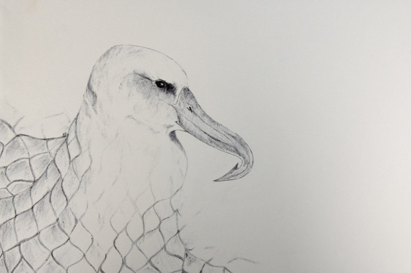 Hook Net Sinker. Alicia Hayden