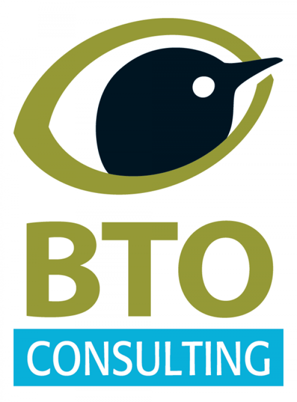BTO Consulting logo