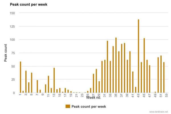Andy Clements' BirdTrack count