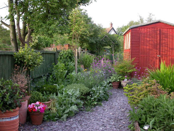 Providing for wildlife in your garden. Mike Toms