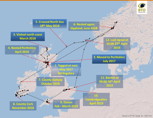 Route map of female Short-eared Owl tagged in Stirling, Scotland