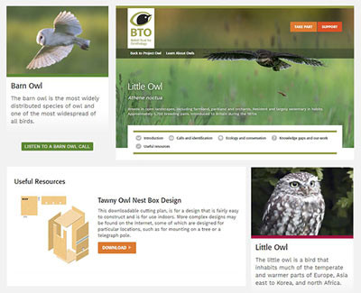 Learn About Owls resource pages Learn About Owls resource pages