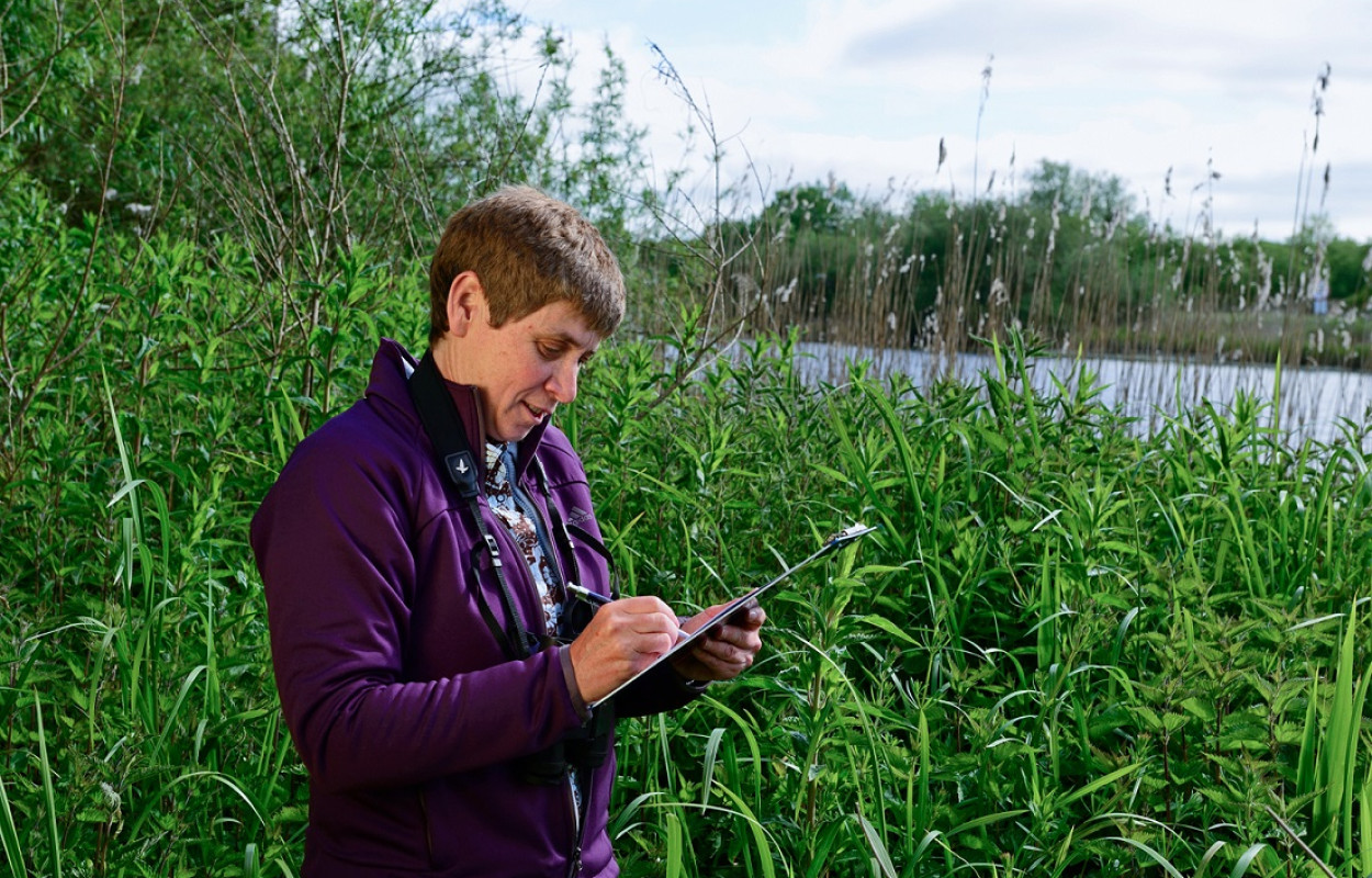 Bird survey volunteer, David Tipling