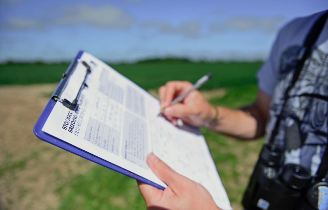 BBS volunteer, by David Tipling / BTO