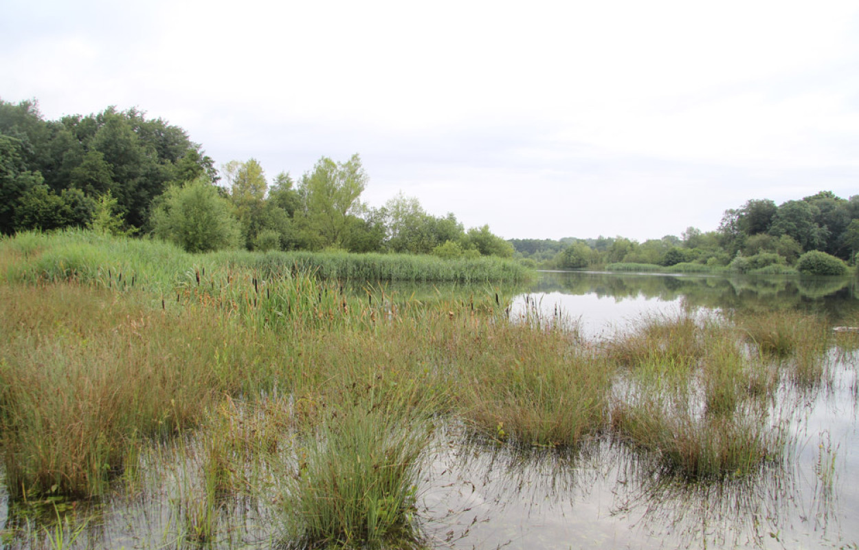 Gravel pits. Mike Toms / BTO