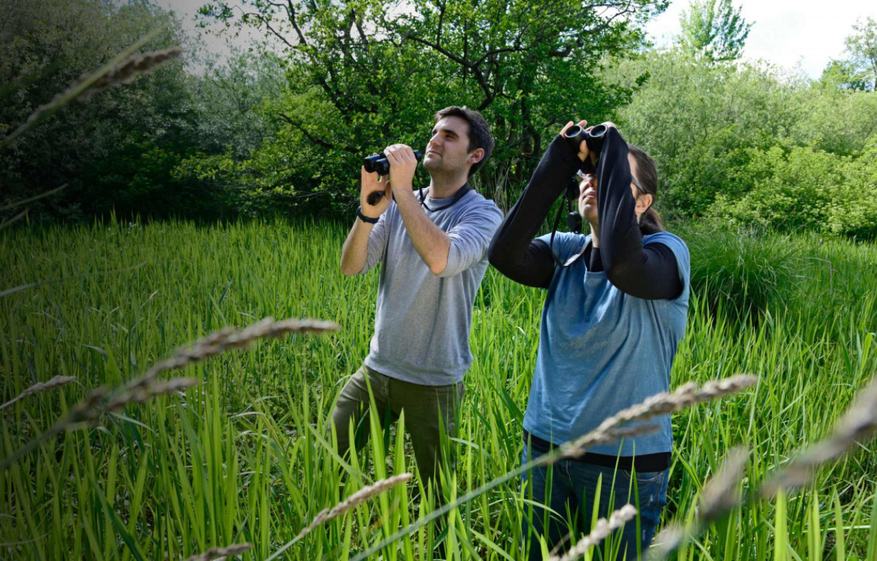 BTO volunteers. David Tipling
