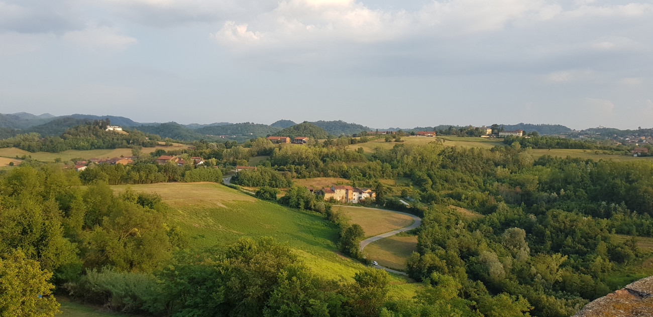 Bat foraging habitat around Verrua Savoia, Piedmont, Italy. Stuart Newson