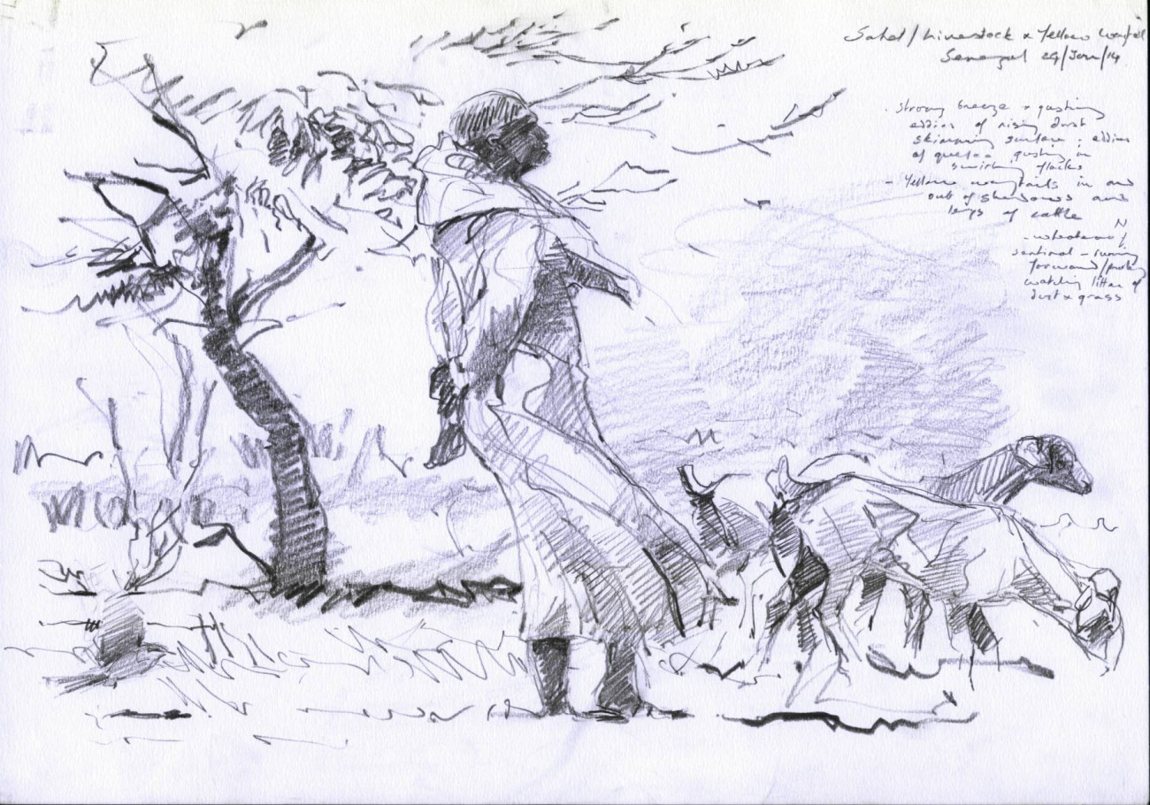 Sahel shepherd and Yellow Wagtail, by Bruce Pearson