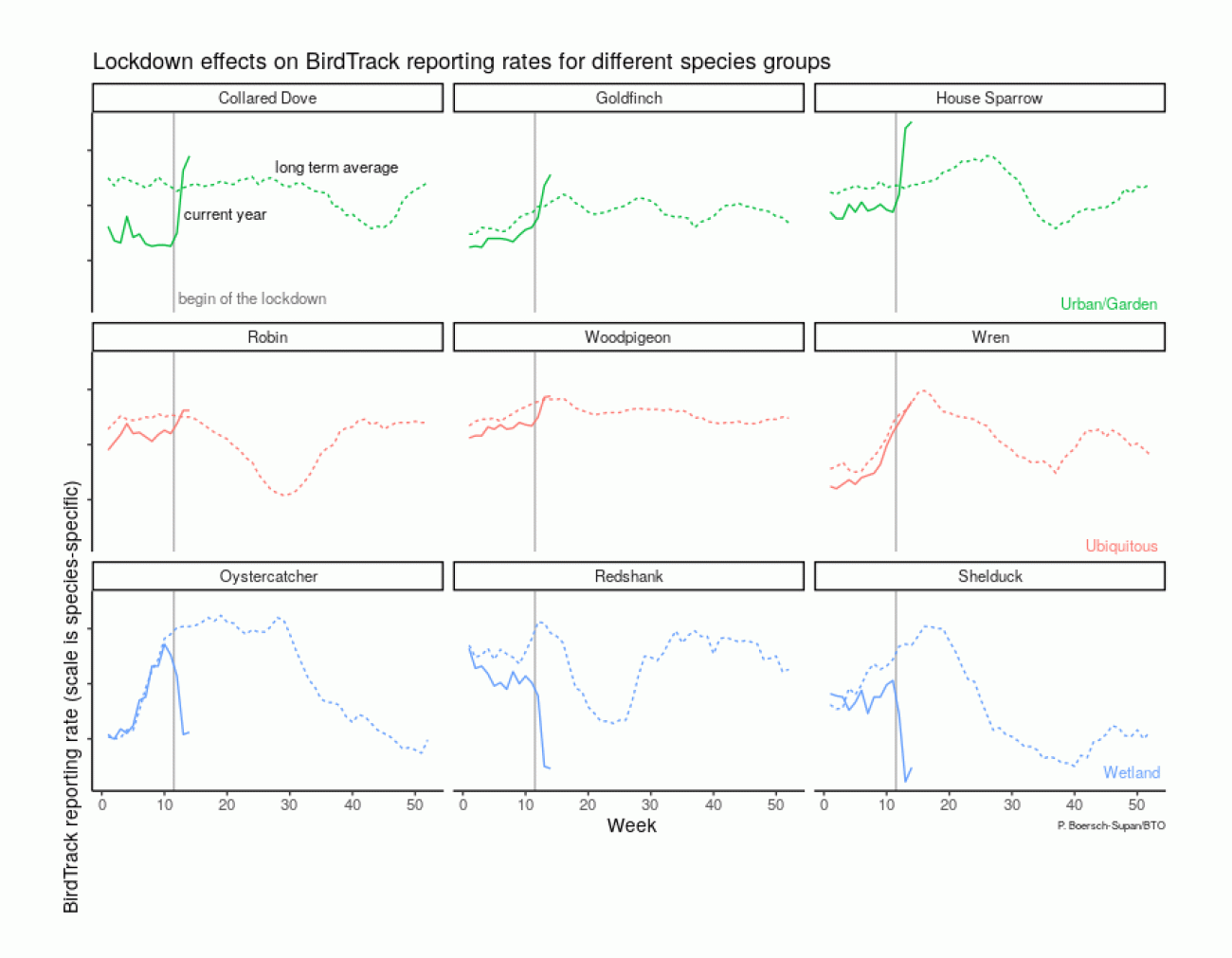 BirdTrack lockdown reporting rates (annotated)