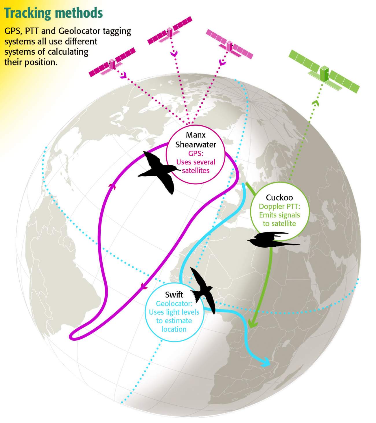 Tracking graphic by Nigel Hawtin