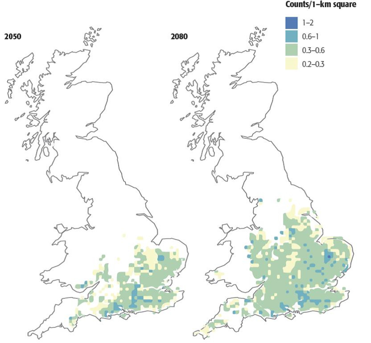 Western Bonelli's Warbler projections