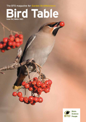 Bird Table current issue cover Bird Table current issue cover