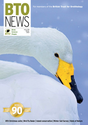 BTO News Winter 2023